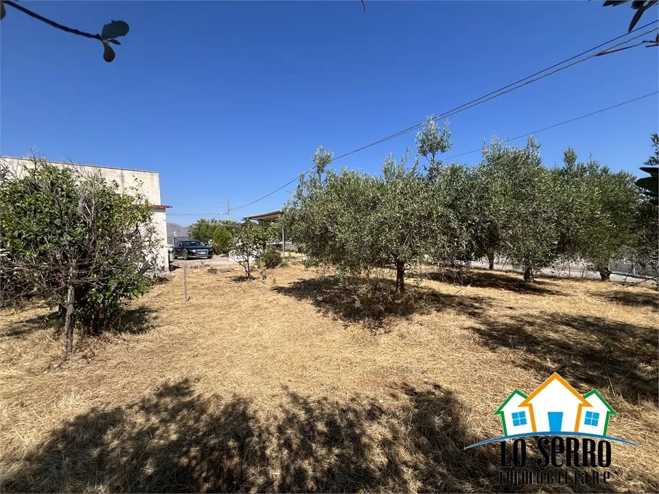 Rustico/Casale in vendita a Alcamo - foto 3