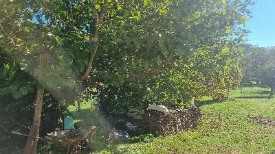 Rustico/Casale in vendita a Terranuova Bra... - foto 10