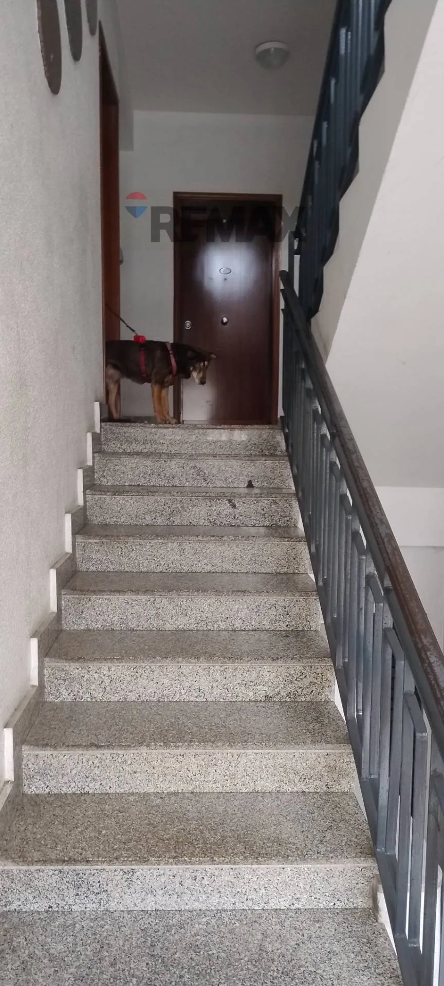 Appartamento in vendita a Misterbianco - foto 2