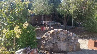 Villa in vendita a Follonica - foto 8