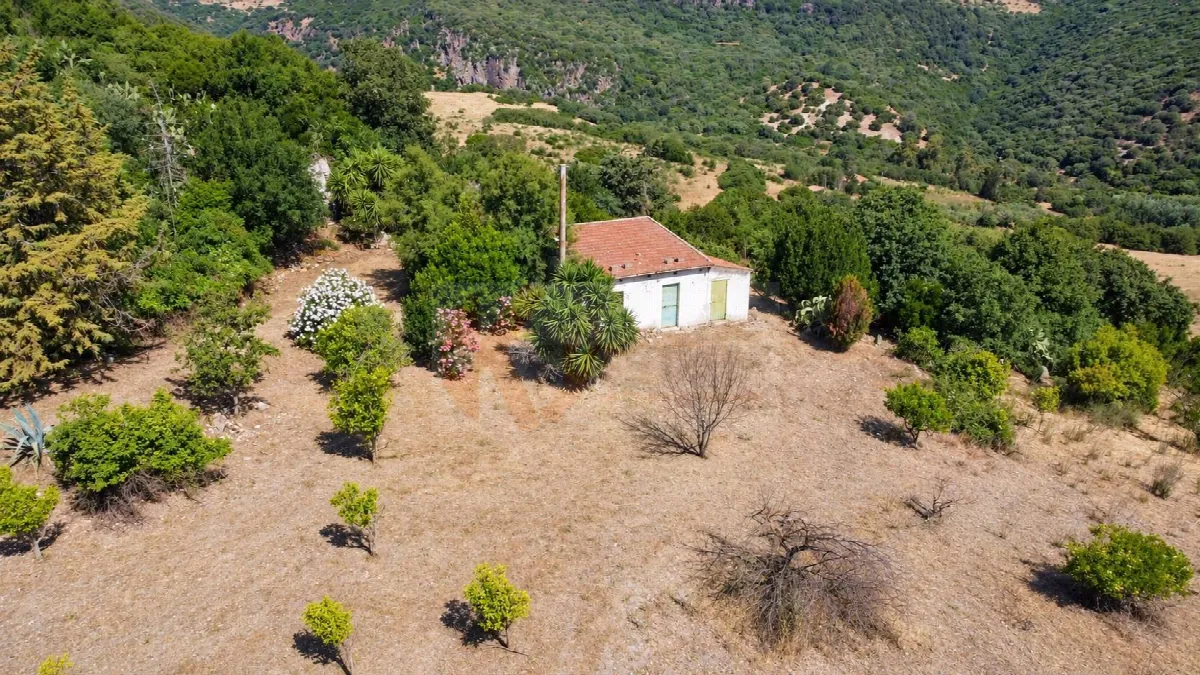 Rustico/Casale in vendita a Martis - foto 2