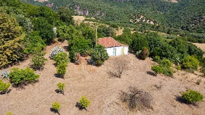 Rustico/Casale in vendita a Martis - foto 2
