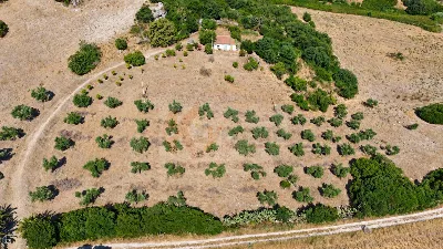 Rustico/Casale in vendita a Martis - foto 4