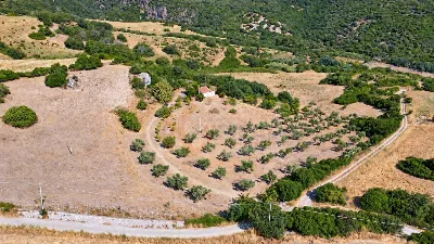 Rustico/Casale in vendita a Martis - foto 5