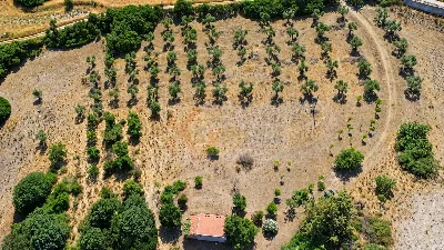Rustico/Casale in vendita a Martis - foto 7