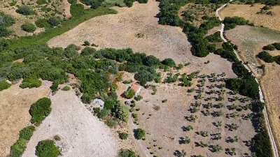 Rustico/Casale in vendita a Martis - foto 9