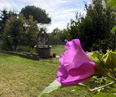 Villa in vendita a Cairo Montenotte - foto 6