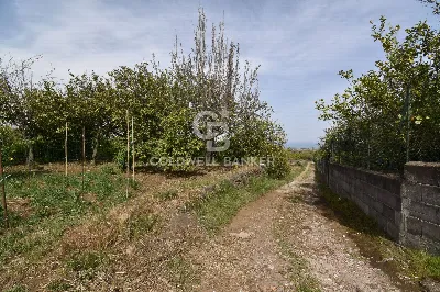 Rustico/Casale in vendita ad Aci Catena - foto 10