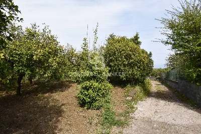Rustico/Casale in vendita ad Aci Catena - foto 6