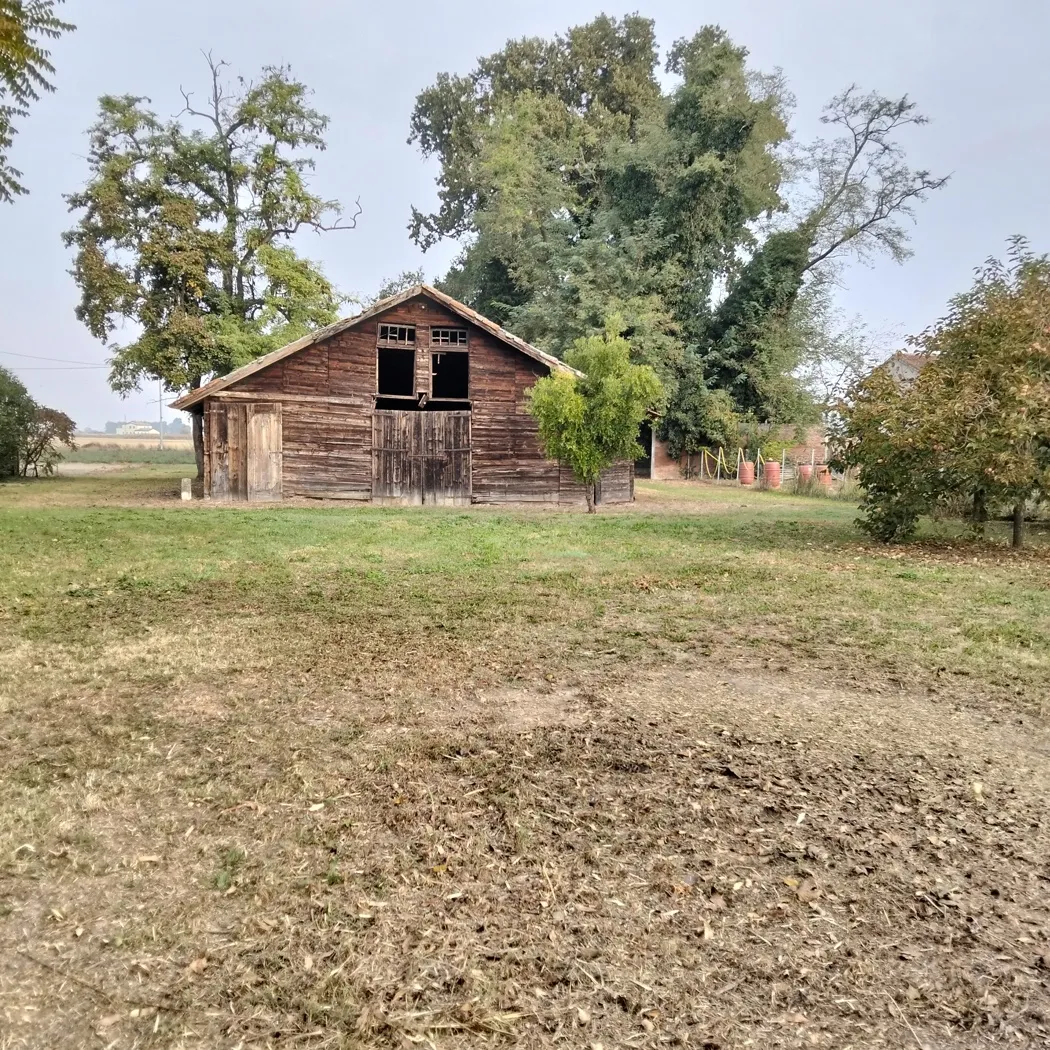 Villa in vendita ad Arquà Polesine - foto 2
