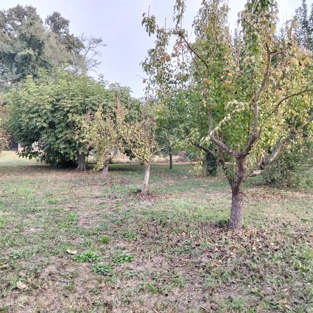 Villa in vendita ad Arquà Polesine - foto 3