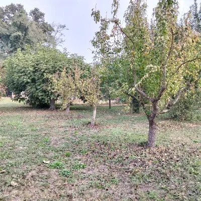 Villa in vendita ad Arquà Polesine - foto 3