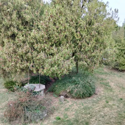 Villa in vendita ad Arquà Polesine - foto 6