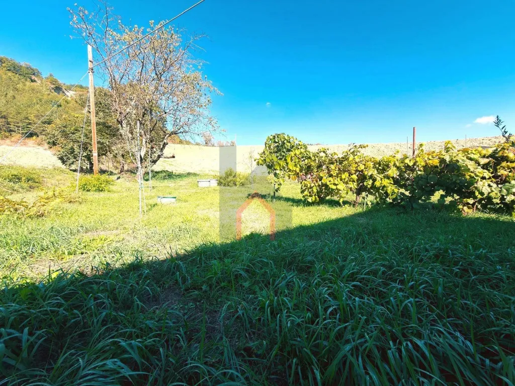 Casa Indipendente in vendita a Rocca San Casciano - foto 5