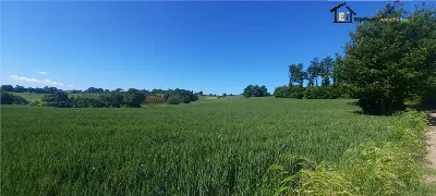 Rustico/Casale in vendita a Lubriano - foto 3