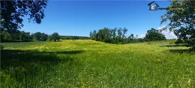 Rustico/Casale in vendita a Lubriano - foto 4