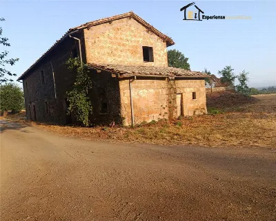 Rustico/Casale in vendita a Lubriano - foto 5