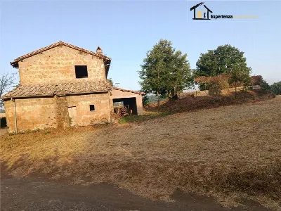 Rustico/Casale in vendita a Lubriano - foto 6