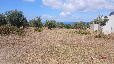 Rustico/Casale in vendita a Messina, Morte... - foto 3