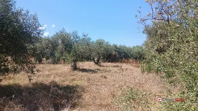 Rustico/Casale in vendita a Messina, Morte... - foto 7