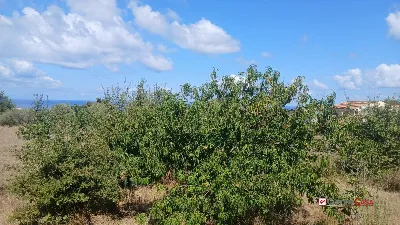 Rustico/Casale in vendita a Messina, Morte... - foto 9