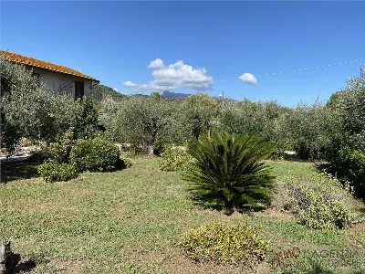 Rustico/Casale in vendita a Massarosa - foto 5