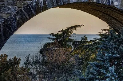 Villa a Trieste