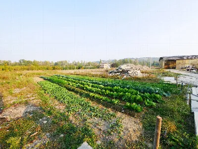 Appartamento in vendita a Vignola - foto 3