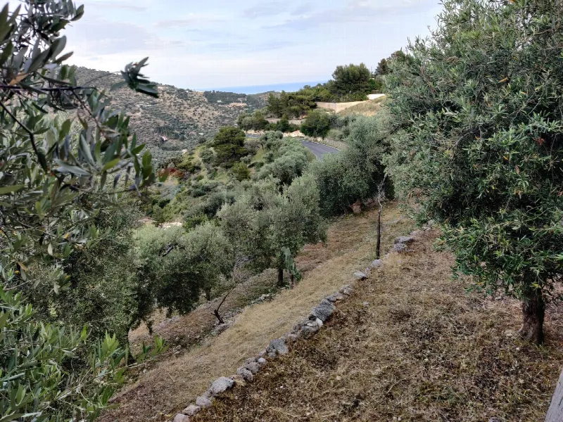 Rustico/Casale in vendita a Mattinata - foto 1