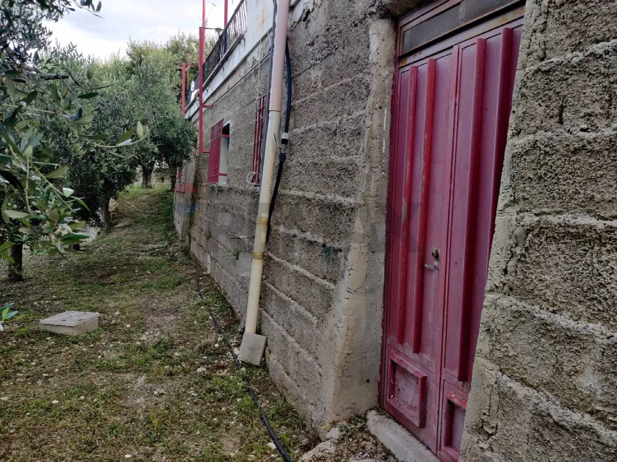 Rustico/Casale in vendita a Mattinata - foto 4