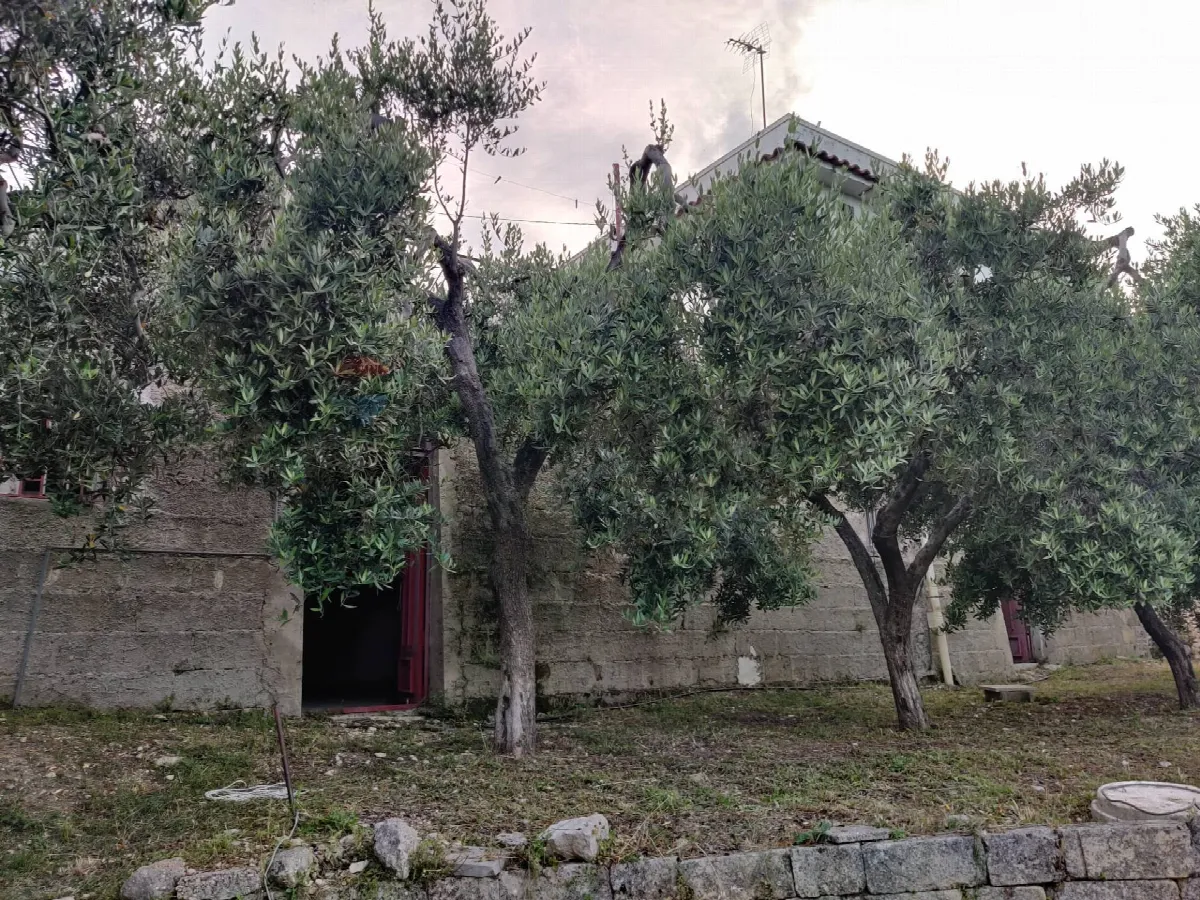Rustico/Casale in vendita a Mattinata - foto 5