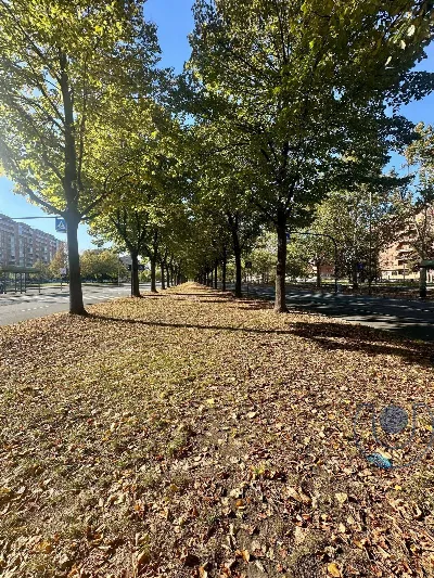 Appartamento in vendita a Torino, Santa Ri... - foto 7