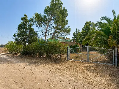 Rustico/Casale in vendita a San Gavino Mon... - foto 2
