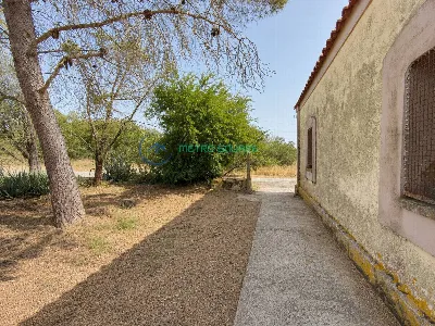 Rustico/Casale in vendita a San Gavino Mon... - foto 4
