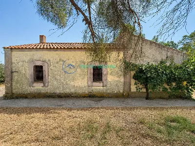 Rustico/Casale in vendita a San Gavino Mon... - foto 5