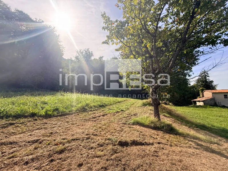Rustico/Casale in vendita a Revine Lago - foto 1