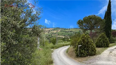 Appartamento in vendita a Ostra - foto 10
