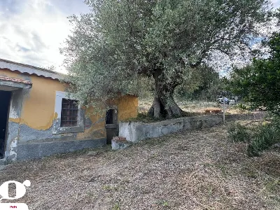 Casa Indipendente in vendita a Patti - foto 5