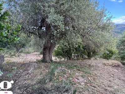 Casa Indipendente in vendita a Patti - foto 9