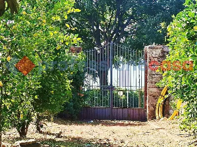 Casa Indipendente in vendita a Piedimonte ... - foto 10