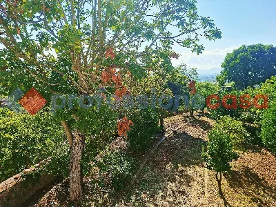 Casa Indipendente in vendita a Piedimonte ... - foto 8