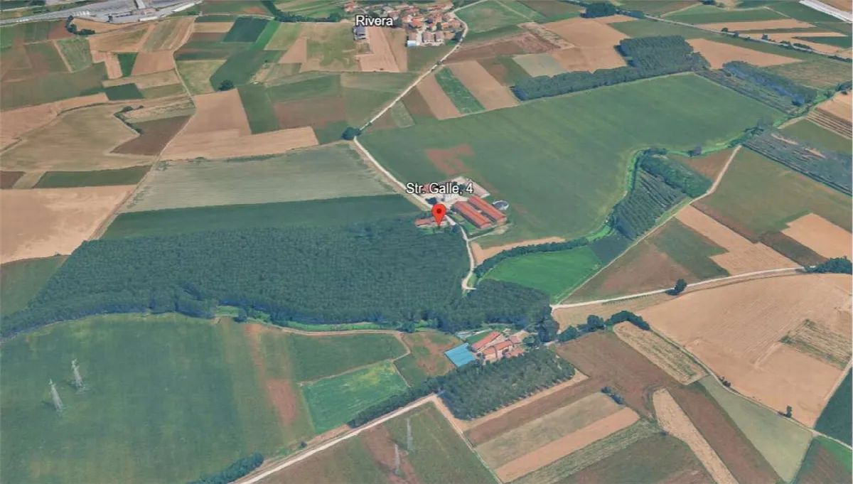 Rustico/Casale in vendita a Trofarello - foto 4