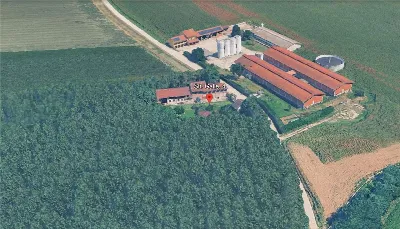 Rustico/Casale in vendita a Trofarello - foto 5