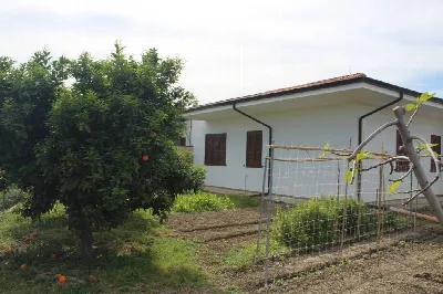Rustico/Casale in vendita a Rocca Imperial... - foto 2