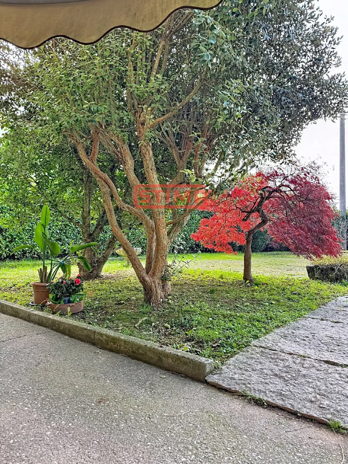Villa in vendita a Paese - foto 5