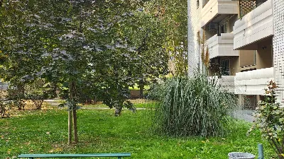 Appartamento in vendita a Corsico - foto 6