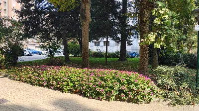 Appartamento in vendita a Corsico - foto 7