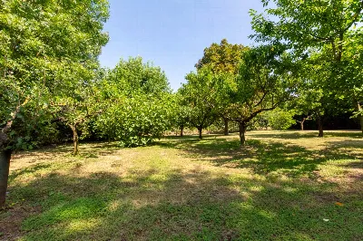 Villa in vendita a Tonco - foto 10