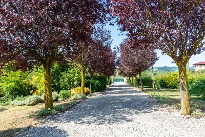 Villa in vendita a Tonco - foto 4