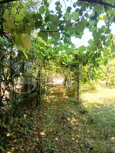 Appartamento in vendita a Carrara, Stadio,... - foto 6